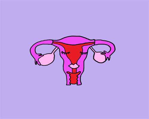 福建供卵政策最新&广安捐卵公司