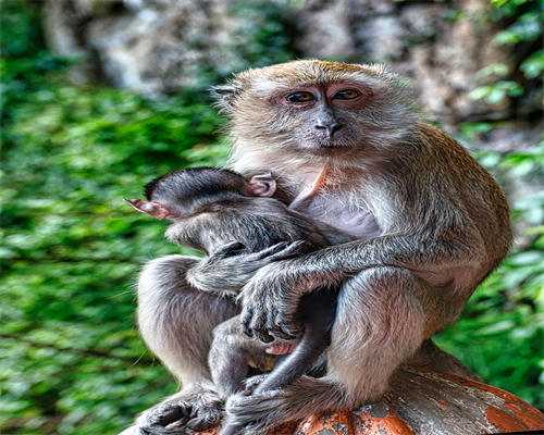 厦门供卵试管哪里优惠多 让你的人生重新焕发光彩