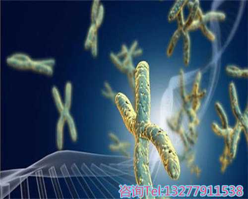 厦门找代怀妈妈为生育赋能新的生命力