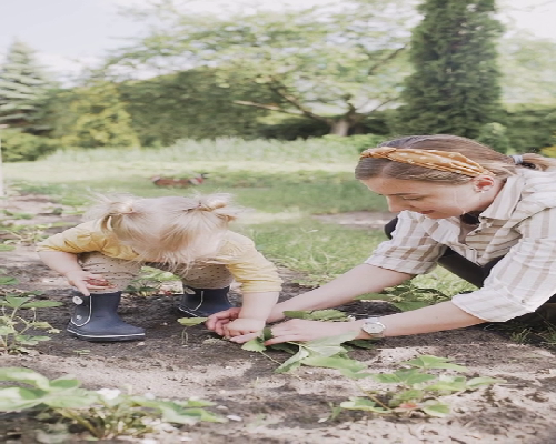 2026年厦门做供卵试管不用排队的医院有几家？