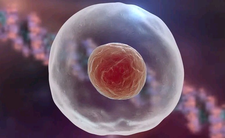 厦门代孕宝宝公司,用科技为不孕不育患者提供全面支持