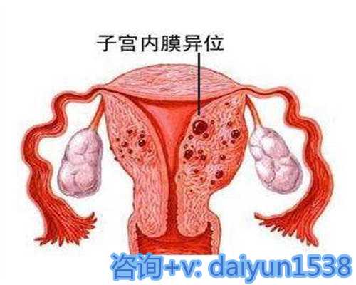 厦门代孕能否生男孩,找到梦想中的小生命