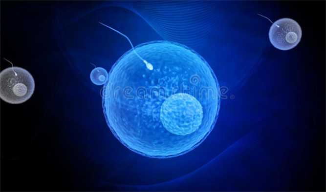 厦门在哪找供卵医院好,为不育夫妇带来曙光