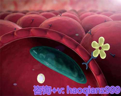 厦门3代试管供卵的优缺点分析