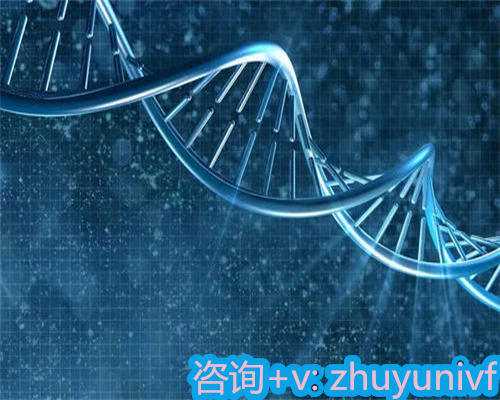 厦门供精群,正规助孕妈妈,石狮孕前优检有哪些项目？江山孕前检查有哪些项目