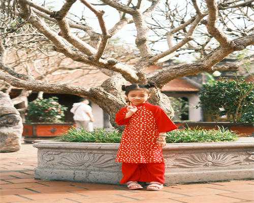 厦门供卵价格,子宫肌瘤是怎么引起的呢