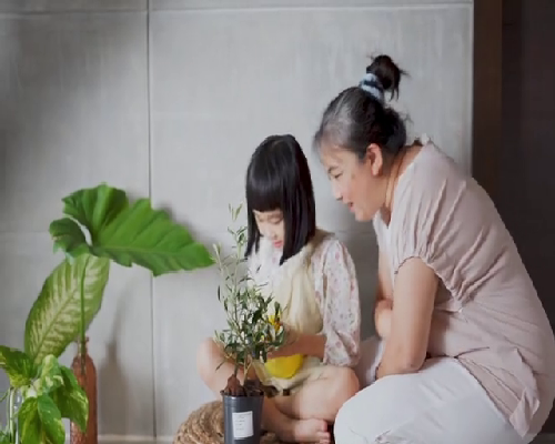 厦门174做试管婴儿成功率高吗，2026年厦门174医院试管助孕成功几率及提升方法