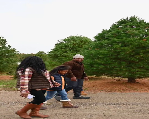 厦门哪有供卵试管机构啊,创造健康家庭的机遇