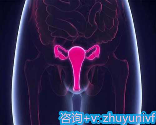 厦门供卵试管中介服务让你拥有一个完美的家庭