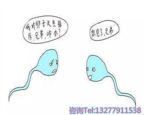 厦门哪里可以找到供卵的,成就神仙般的“龙凤胎”