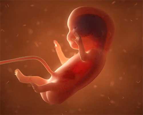 厦门想帮别人代生新方式,试管助孕生子获得广泛认可