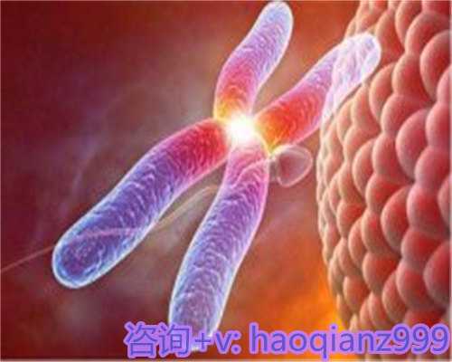 厦门代孕试管费用用科技让生命更加健康、美好